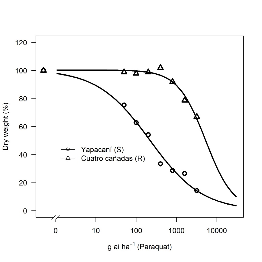 Gráfico, Diagrama Descripción generada automáticamente