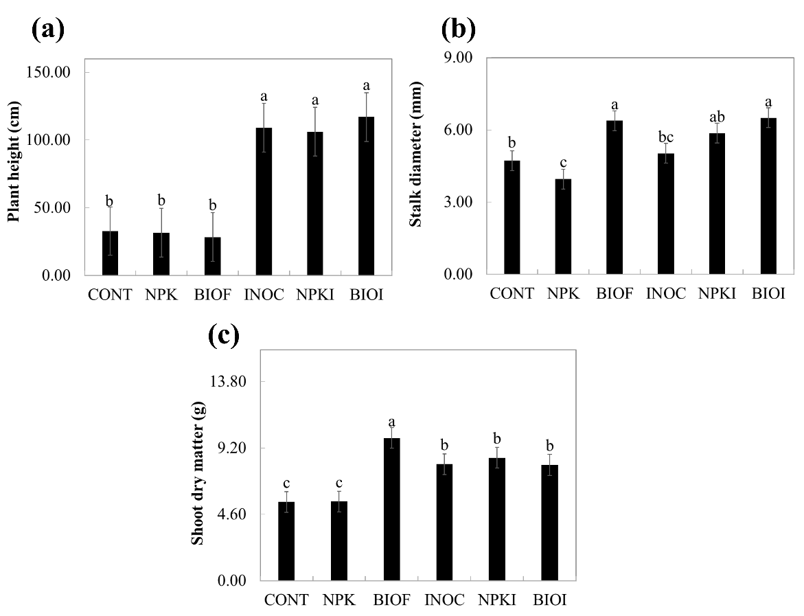 Uma imagem contendo Diagrama Descrição gerada automaticamente