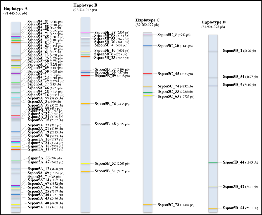Gráfico, Gráfico de barras O conteúdo gerado por IA pode estar incorreto.
