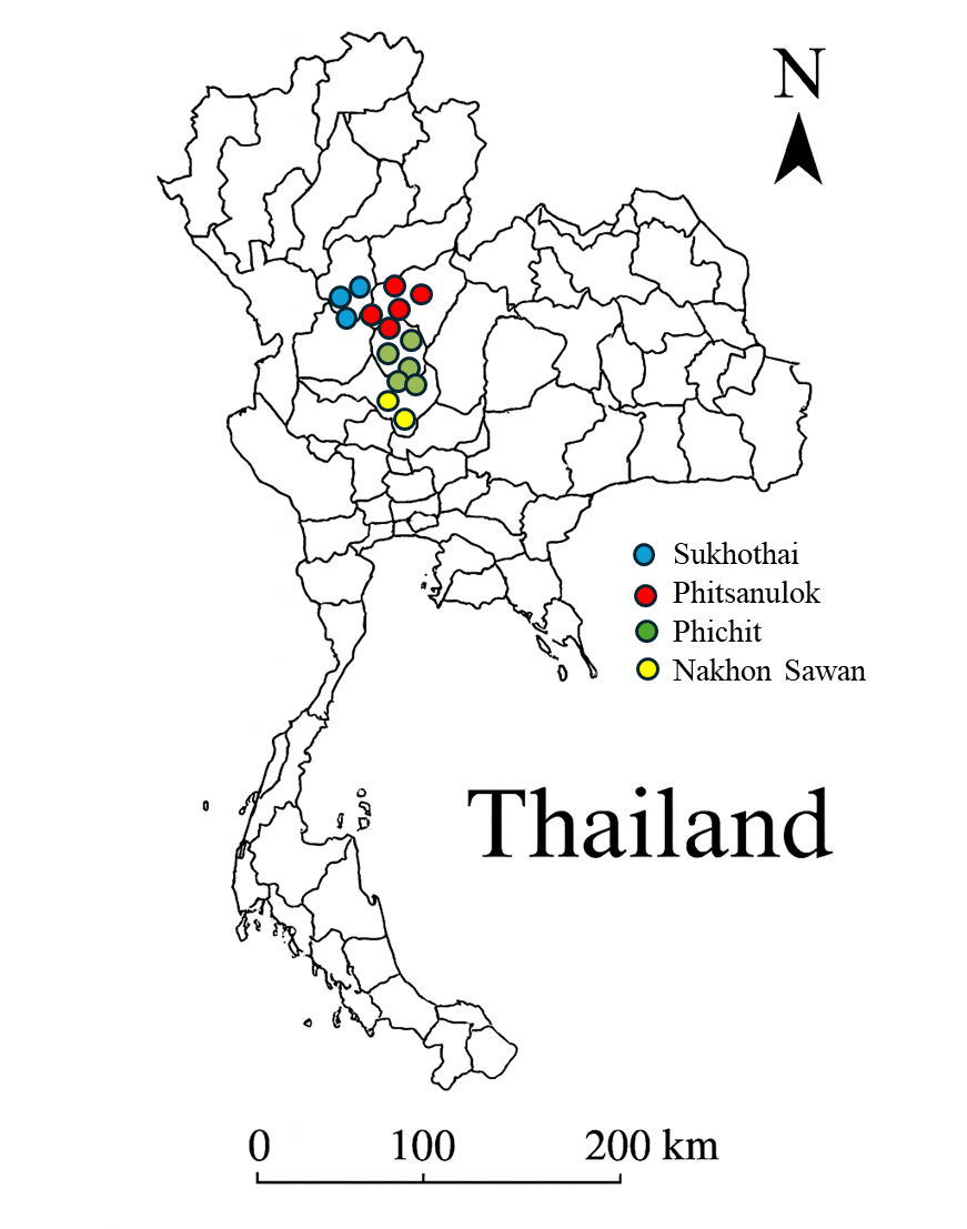 A map of thailand with different colored circles AI-generated content may be incorrect.