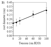 Gráfico O conteúdo gerado por IA pode estar incorreto.