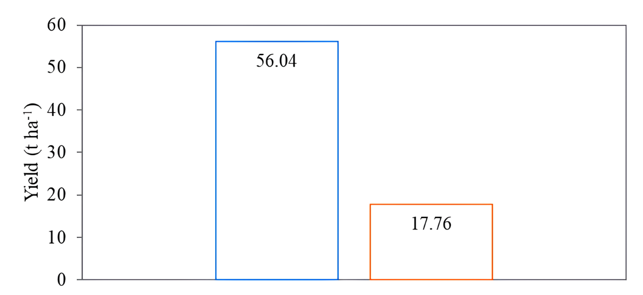 Gráfico, Histograma Descrição gerada automaticamente
