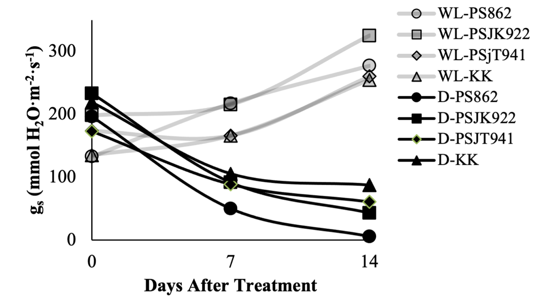 A graph of different stages of treatment AI-generated content may be incorrect.